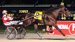 Cantab Hall (Balmoral Park photo)