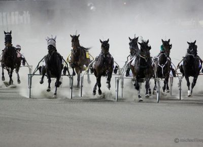 Meadowlands Friday 3rd January 2014