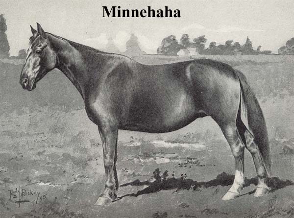 minnehaha1.jpg (56551 bytes)