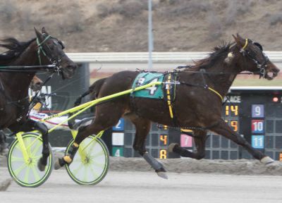 Barn Girl winning Wednesdays feature