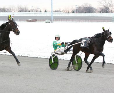 Melady's Monet, harness racing