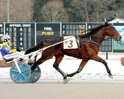 Ulster, harness racing