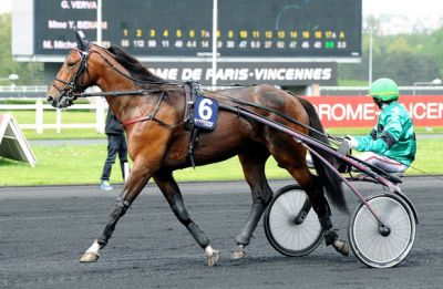 Un Mec d'Heripre, harness racing