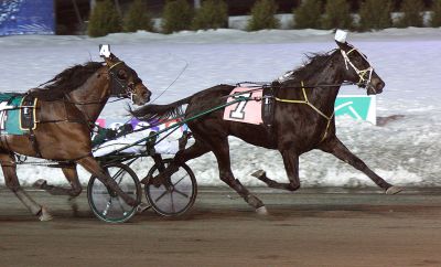 DW's NY Yank, harness racing