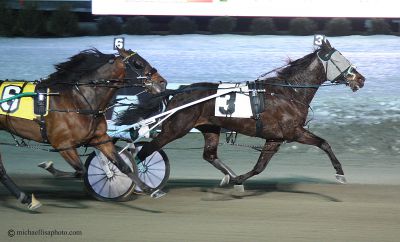 Twin B Spike Man, harness racing