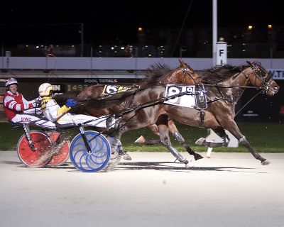 Coco Lindy, harness racing