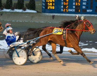 Cold Certified takes second straight Open Trot at Buffalo Raceway