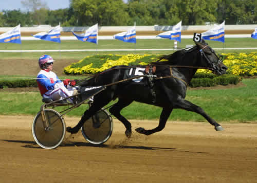 Dr Ronerail - Winning At The Red Mile