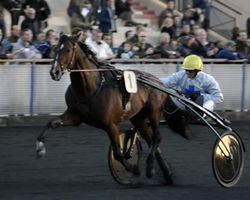 Mark Kentell / france-trot.fr Photo
 (CLICK TO VIEW)