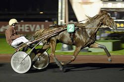 Mark Kentell / france-trot.fr - On Tuesday night (April 22) at Vincennes, Rancho Gede and Tony Le Beller won the male race. (CLICK TO VIEW)