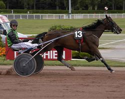 Mark Kentell/France-TROT photo (CLICK TO VIEW)