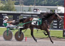 Geri Schwarz Photo - Princessofhollywd’s 1:59:3 fastest of the 4 NYSS late closer trots at Monticello Raceway (CLICK TO VIEW)