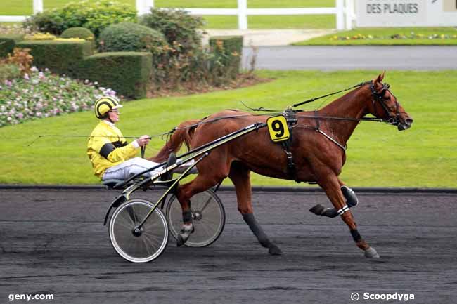 19/11/2022 - Vincennes - Prix Annick Dreux : Arrivée