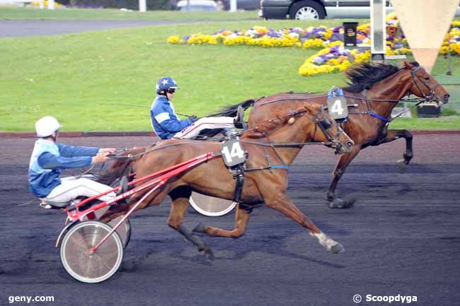 24/04/2022 - Vincennes - Prix Maginus : Arrive