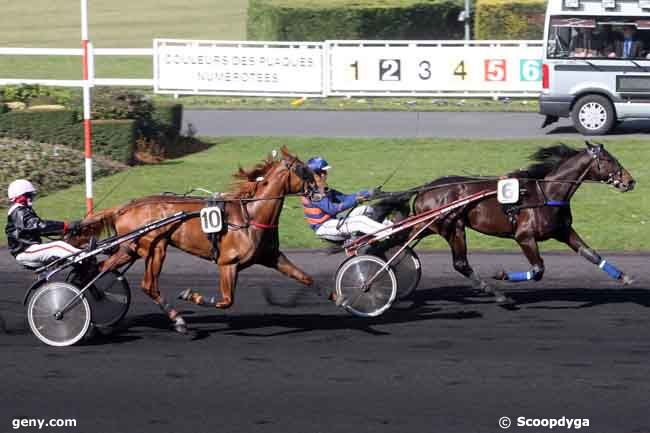 03/03/2023 - Vincennes - Prix Vindex : Arrive